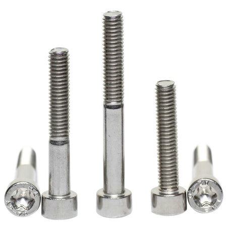 M6 a2 stainless steel torx cap screws ISO 14579